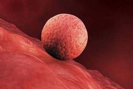 第三特需全过程是怎样的？