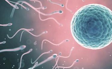 深圳备孕检查医院排行榜一览，福田区、光明区免费机构多