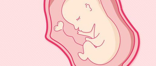 穿刺取精失败应对之试管新方案探讨：探索2026生殖技术前沿