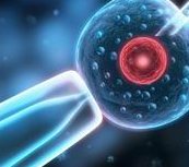 试管婴儿是在试管里长大的吗？试管婴儿诞生全过程！