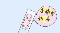 巧囊试管初次成功经验分享，过来人总结的方法请收好