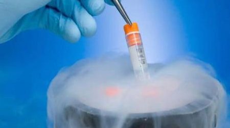 沧州中西医结合医院做三代试管成功率如何？一文读懂需要花多少钱