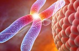 螃蟹不能和哪些食物一起吃？螃蟹和什么相克？